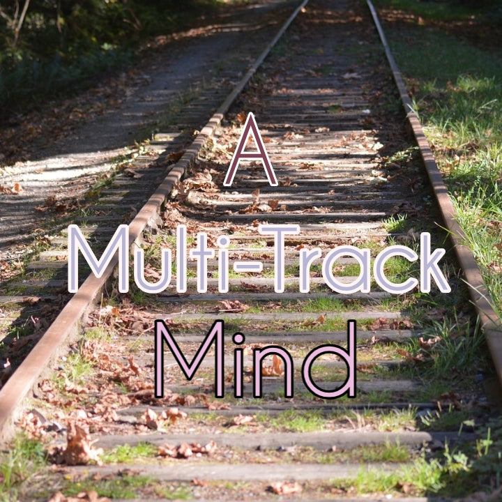 A Multi-Track Mind....