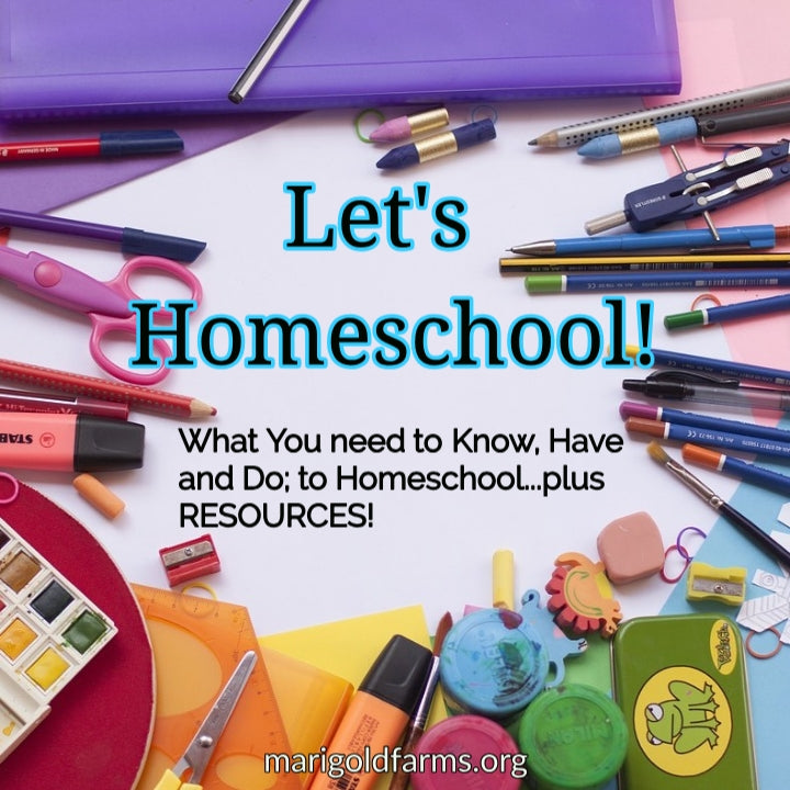Let's Homeschool!